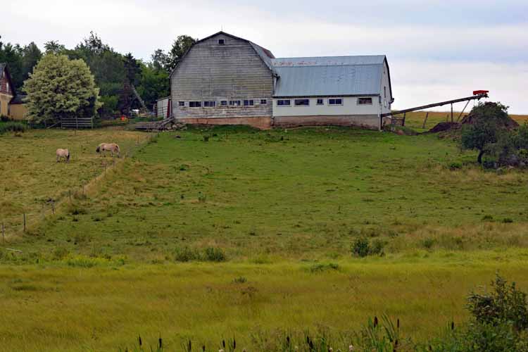 farm